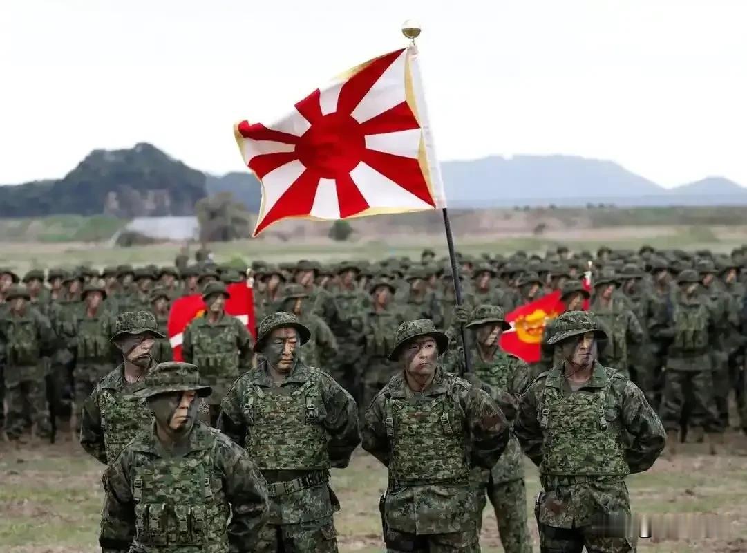 日本就是恶意碰瓷，想在战略上投机取巧。
        你想一想，日本国土狭小、