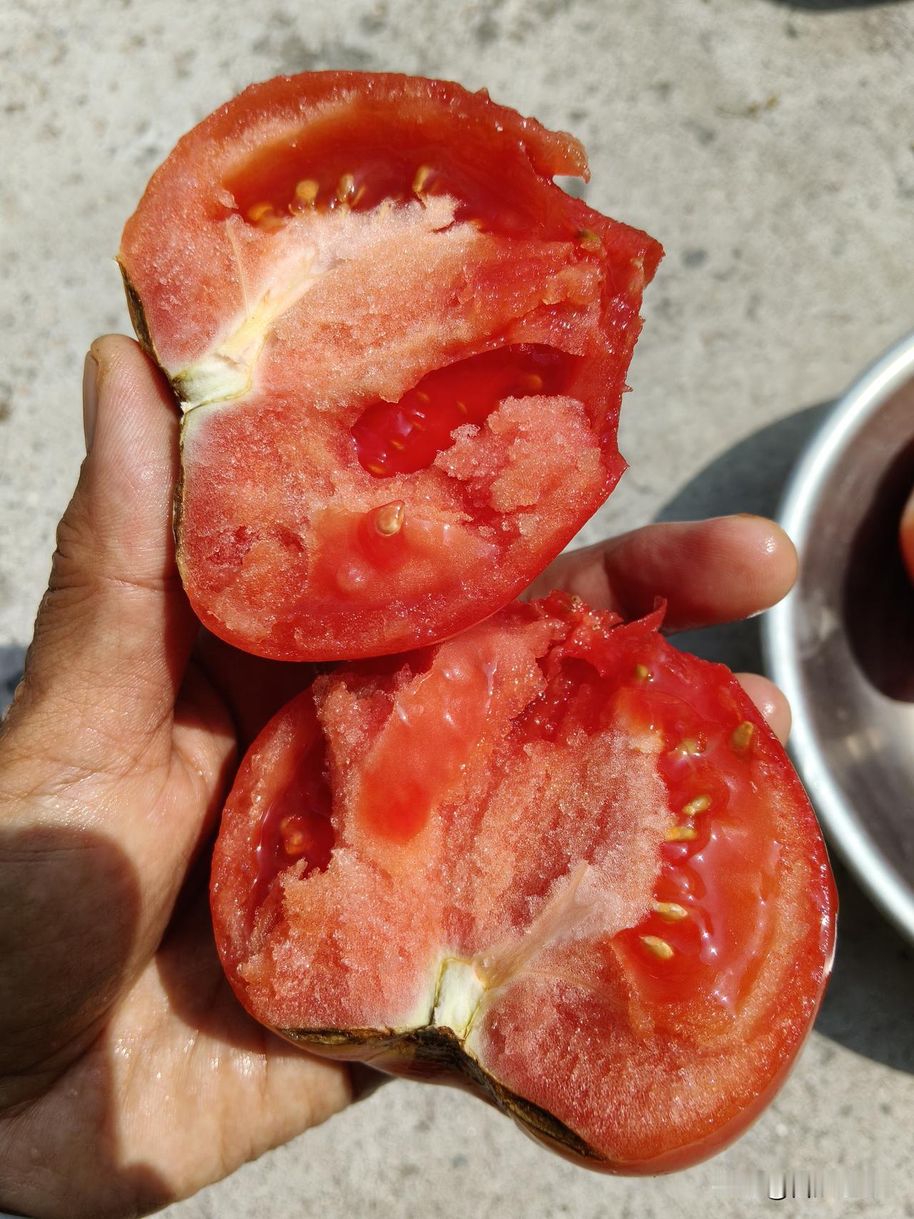 种子，种苗，之二。
怎么办啊？搜集的老 品种太多了，只好不按类别，只按照片先后顺