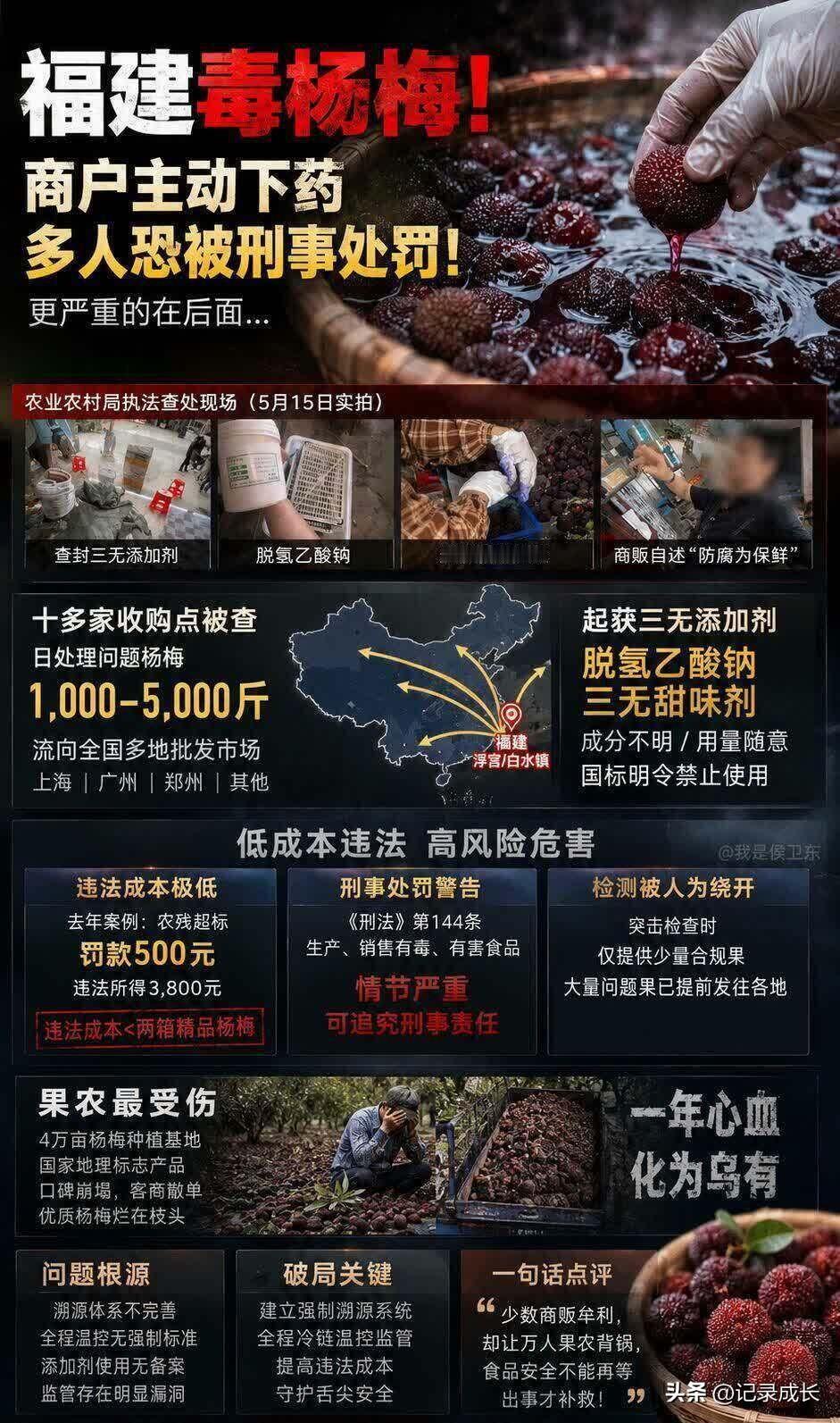 毒杨梅让福建果农很受伤
4万亩杨梅种植基地，口碑崩塌
受伤归受伤，原因是商家造成