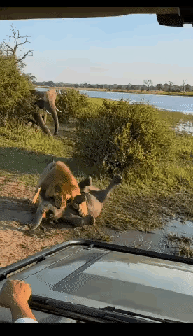 王铎：什么故事也有，呵呵！