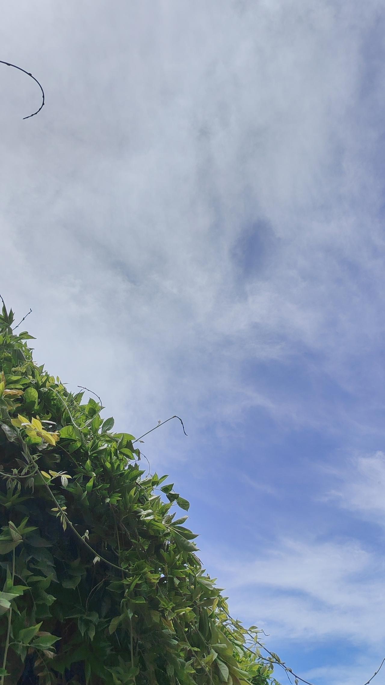 记录我的2026不必焦虑未知的明天，你当下的每一分努力，都是在为未来的惊喜埋下伏