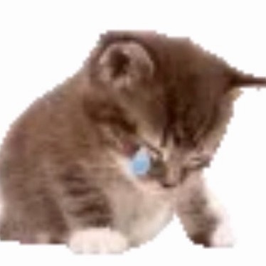 以前以为买黄金是避险，现在才发现自己在冒险。重仓黄金的人怎么样了 这波震荡劝退一