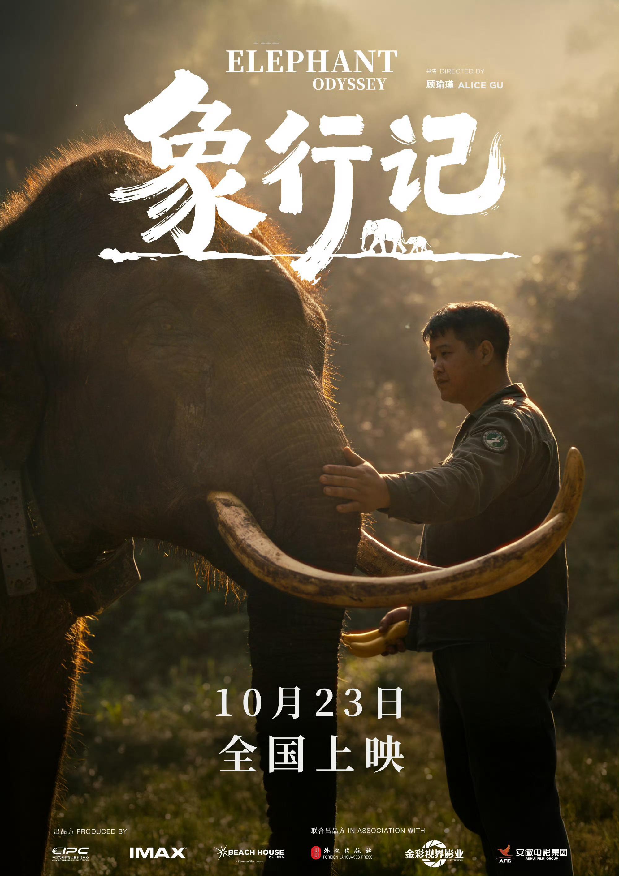 电影象行记定档我们也有自己的IMAX「特制」拍摄纪录片了