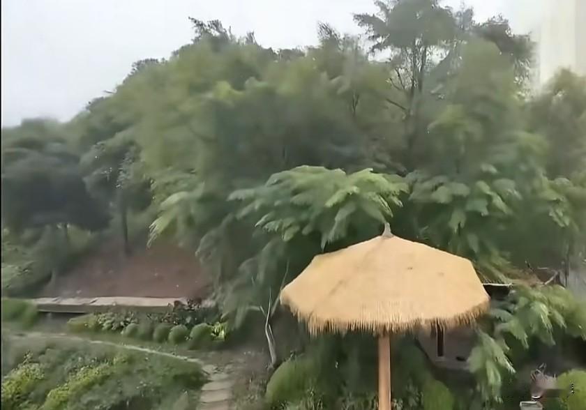 真心很贵，不要轻易浪费，快乐很贵，要和有趣的人交换，人到中年，经历了半生敷衍，看