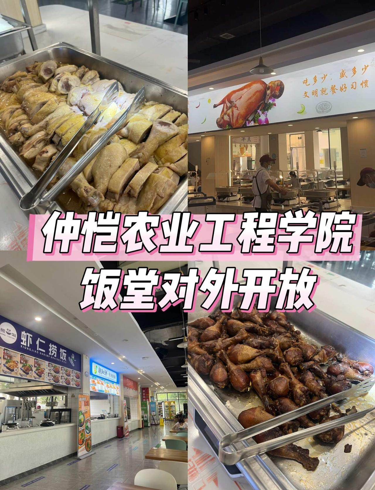 海珠干饭宝地✨仲恺南区食堂外人也能冲！
海珠平价干饭天花板被我挖到了！
仲恺海珠