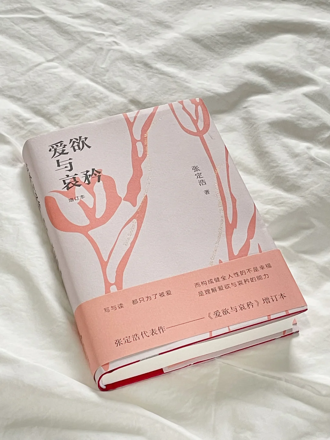 一本需要我花很长时间去阅读的书