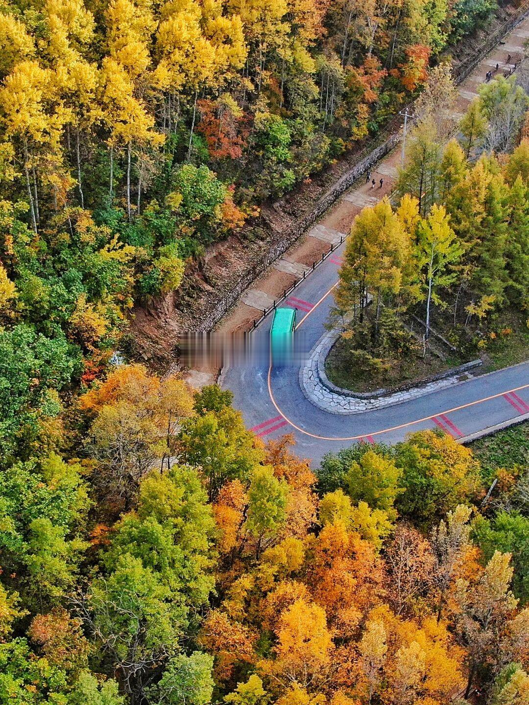 驶入北京秋天的班车🚌🍁住进童话森林里🌳🌳