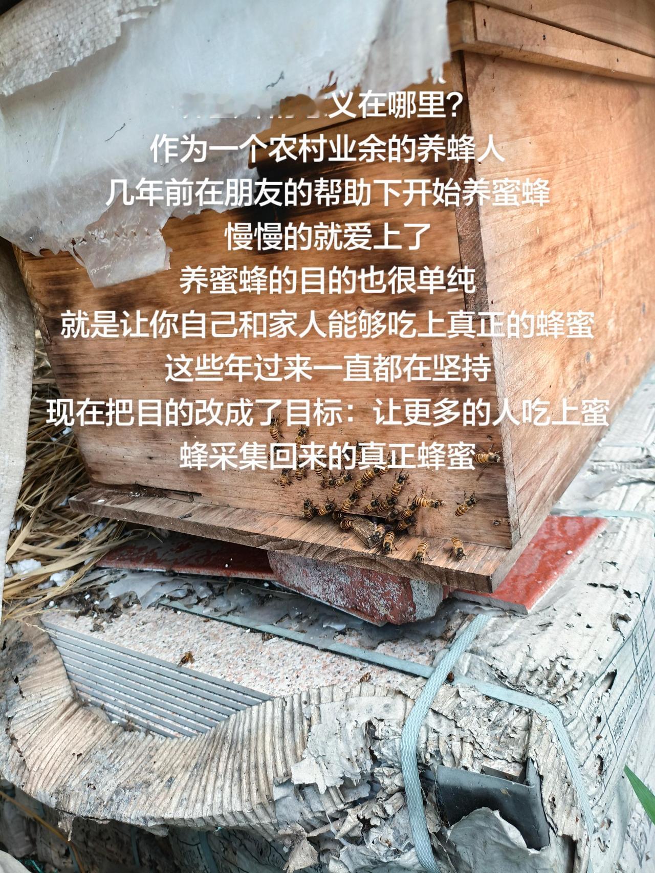 养蜜蜂的意义在哪里？
作为一个农村业余的养蜂人
几年前在朋友的帮助下开始养蜜蜂