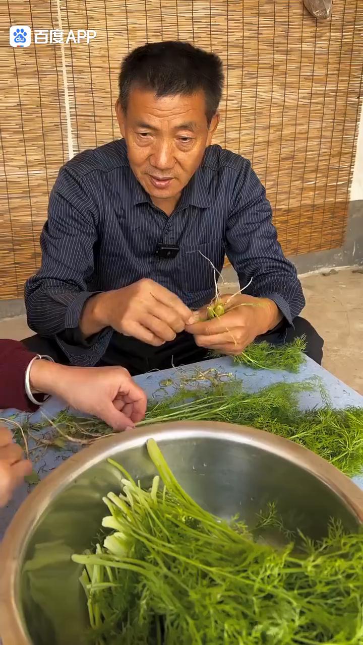 茴香猪肉饺。
妈，这晌午了，今晌午吃什么饭？今天好，摘点茴香吃茴香饺子。这茴香馅