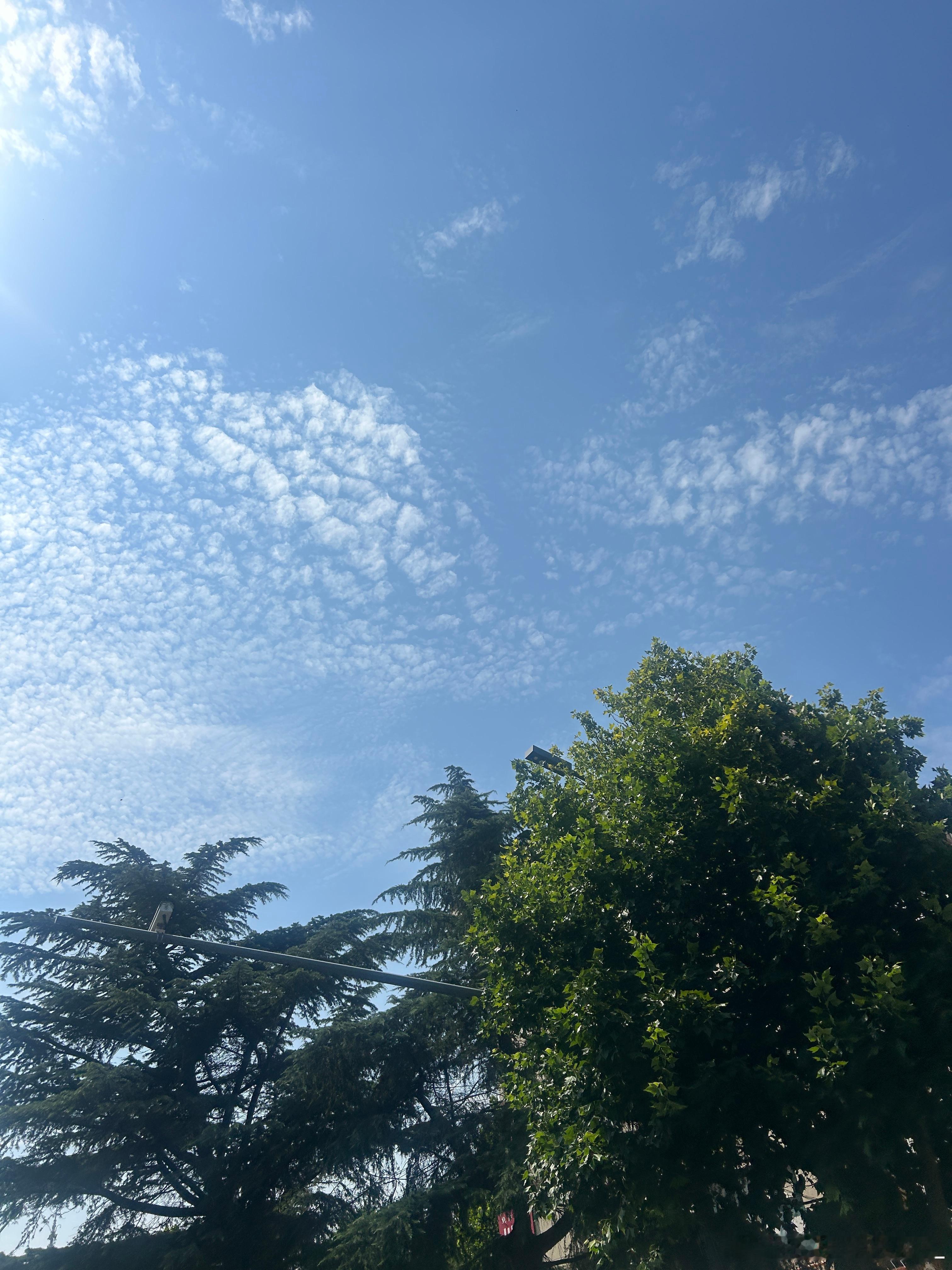 最美的风景在路上。今天的你也辛苦了。周末愉快。晚安。 
