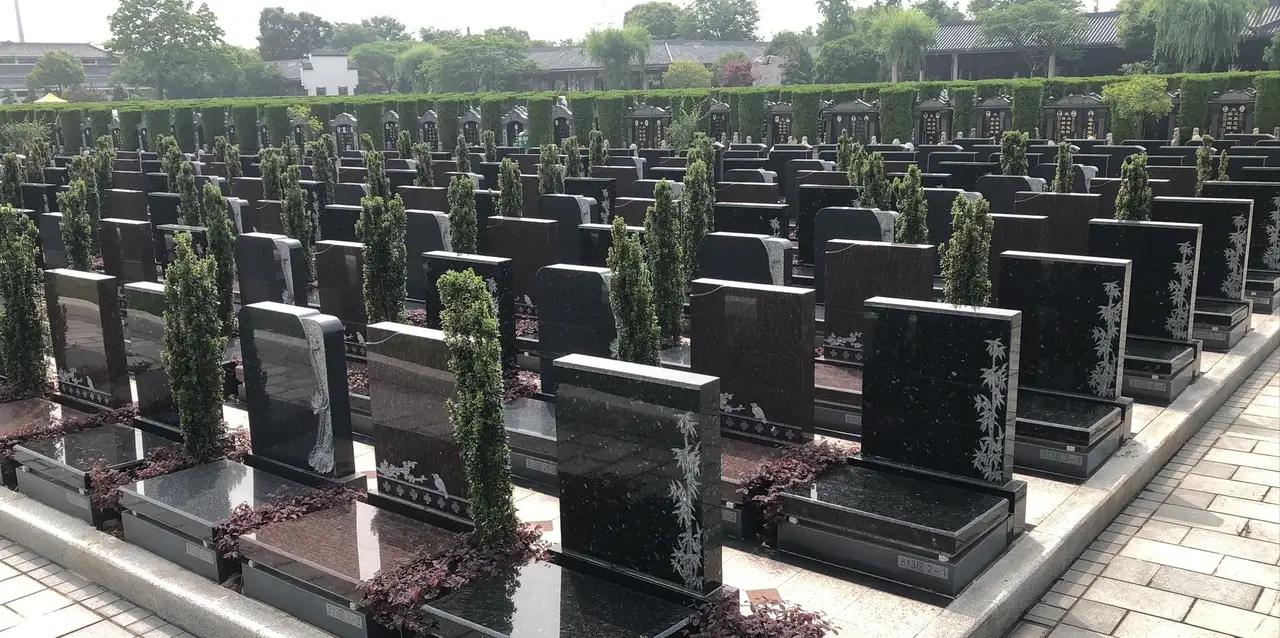 “死后不想占格子，只想种棵树”：当年轻人把葬礼开成一场春日野餐，他们在怕什么，又