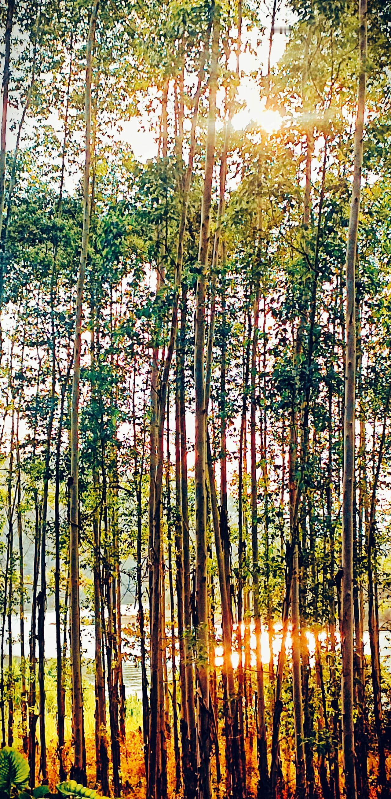 我老公于我而言，是块一辈子都有效的“免死金牌”——这份分量，藏在十七年前那个最难