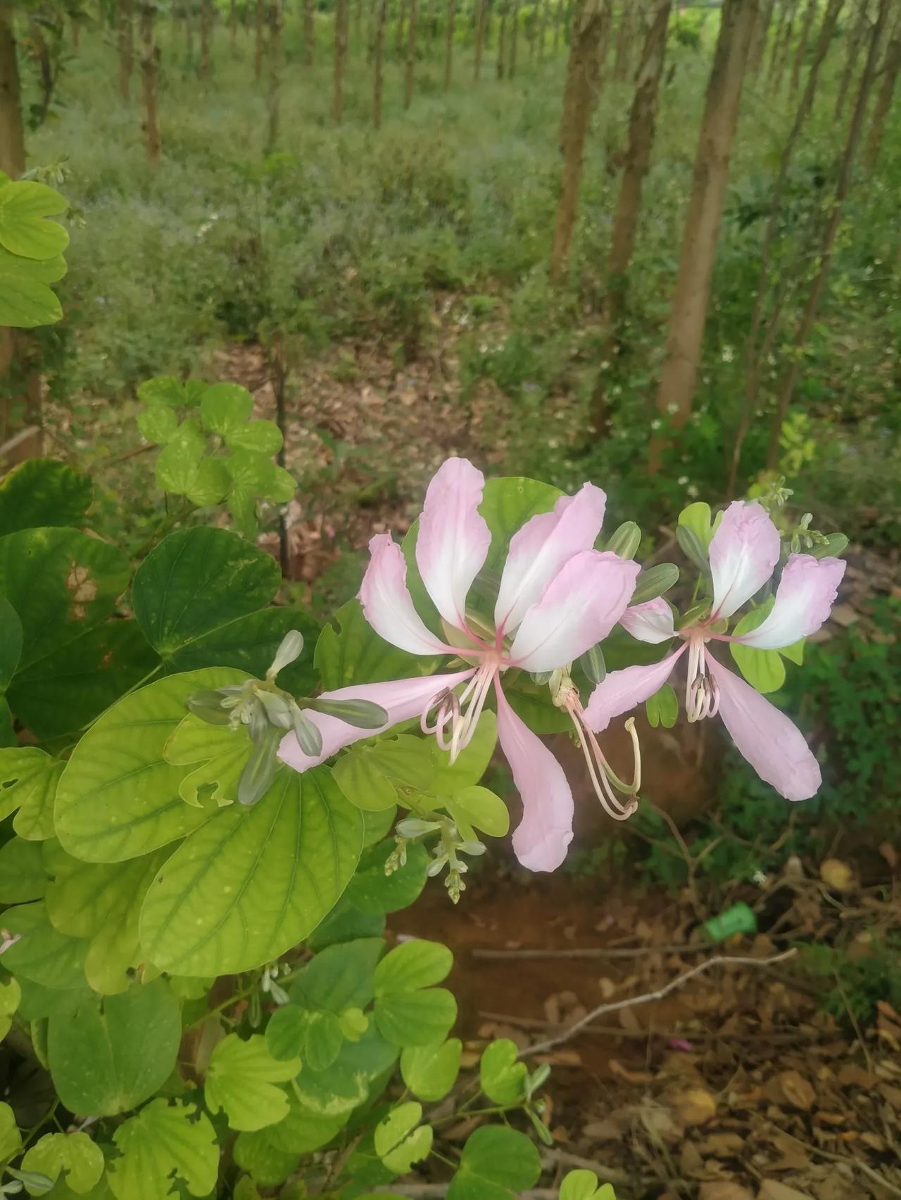 #一人发表一句今天的感悟#你可曾想过：只有心灵相通的人，才能洞察彼此深藏的内在世