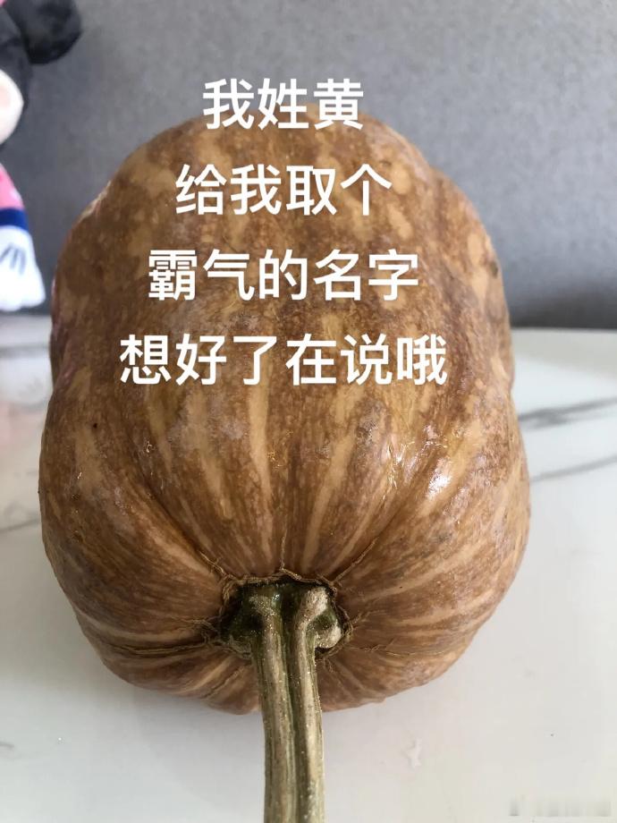 给我取个好听又霸气的名字 