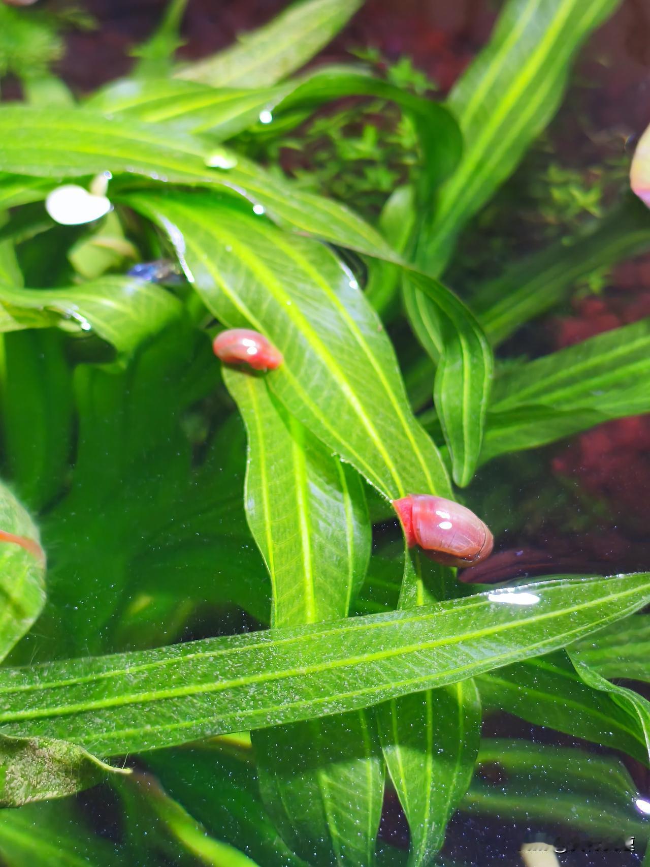 而且AI权益很贴心，能根据我的消费习惯提供个性化优惠。消费变得便捷又划算，出行购