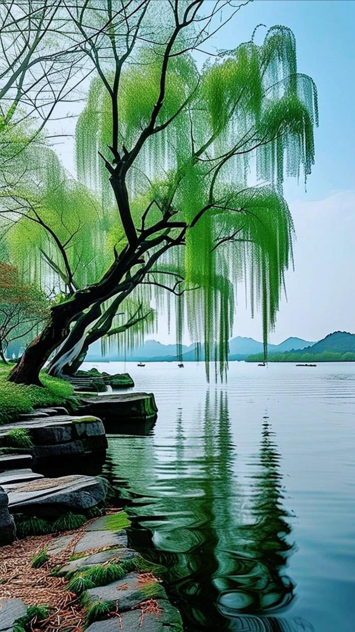 （图片来自网络）