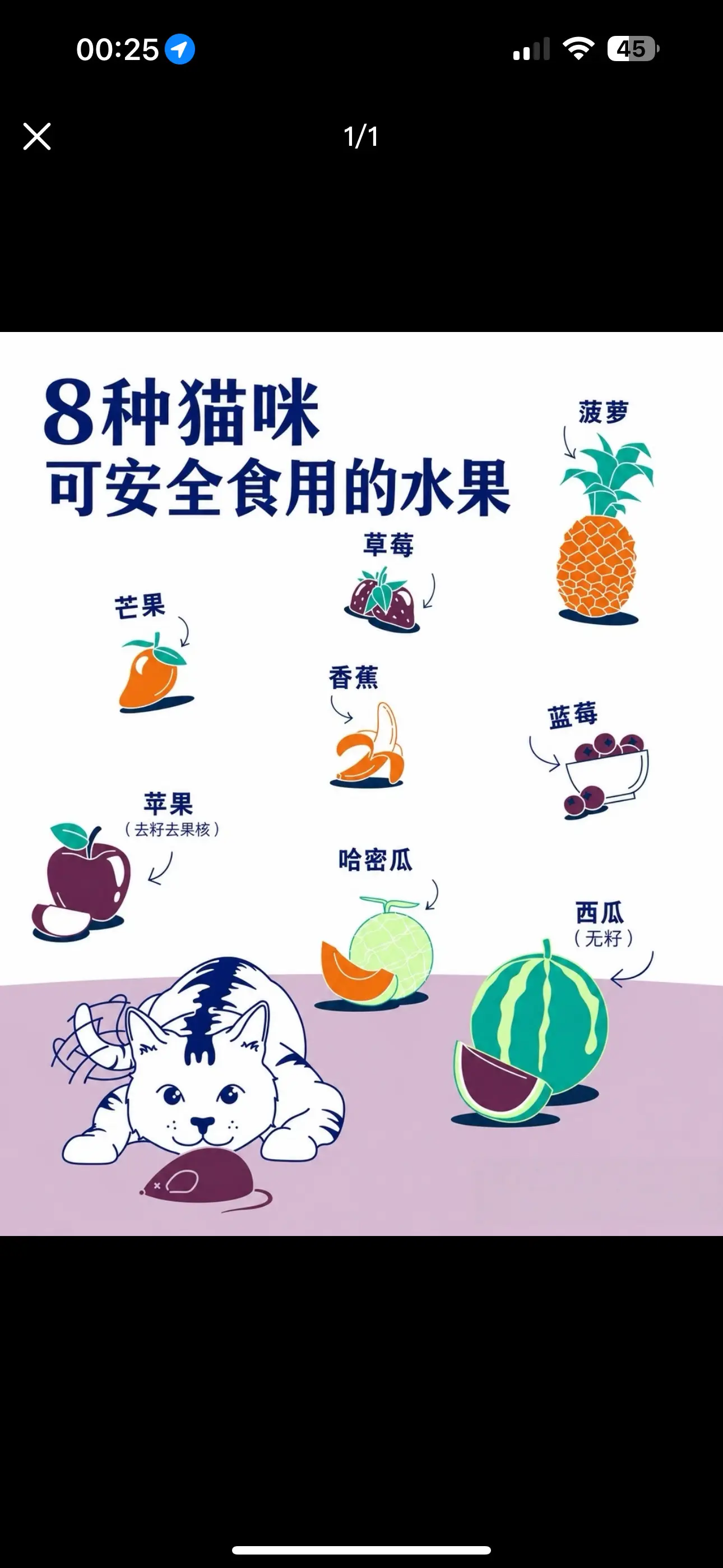记住，水果只能作为奖励，不能替代主食。猫咪是专性肉食动物，但可以偶尔少...