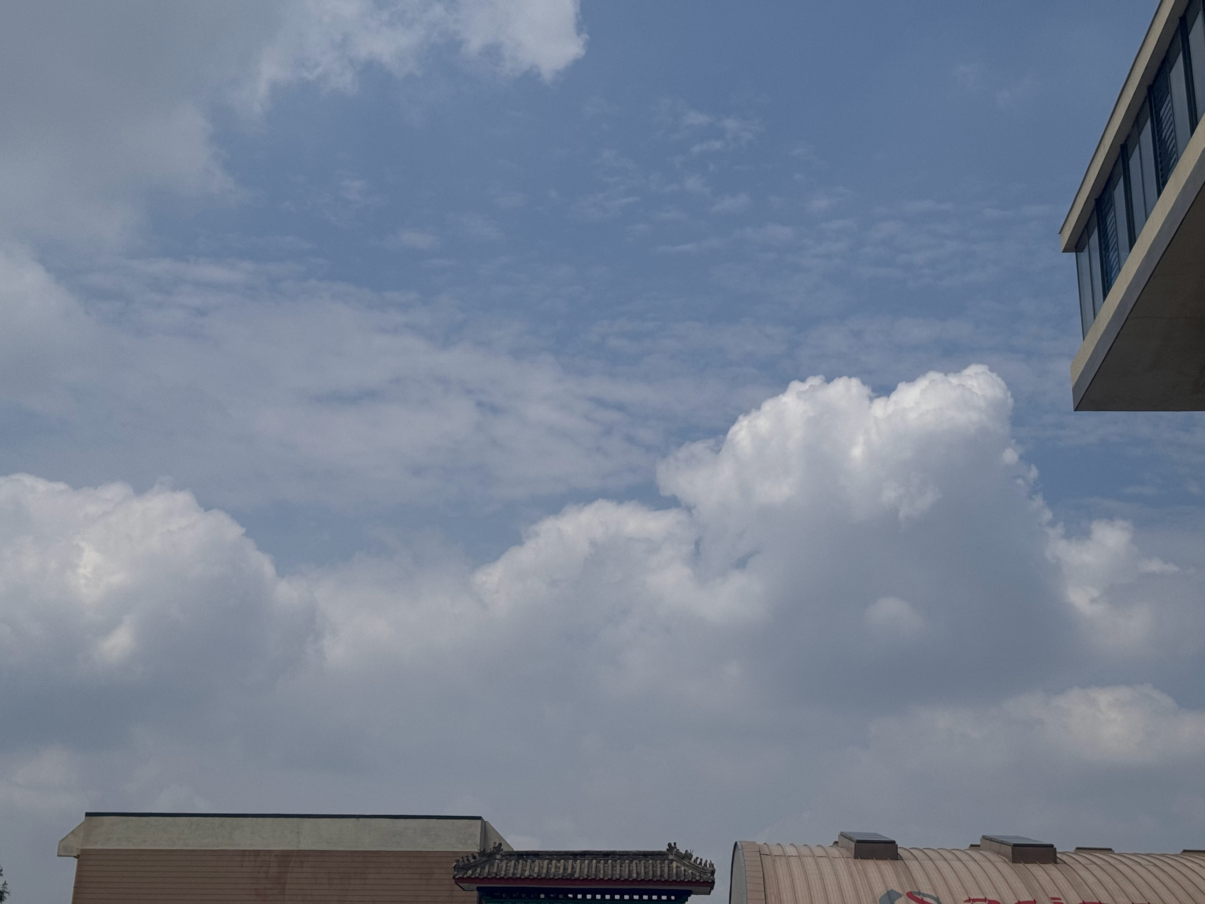 时间真快，2026又过去一半了，这半年最多的思考是关于生命。生命的开始、生命的延