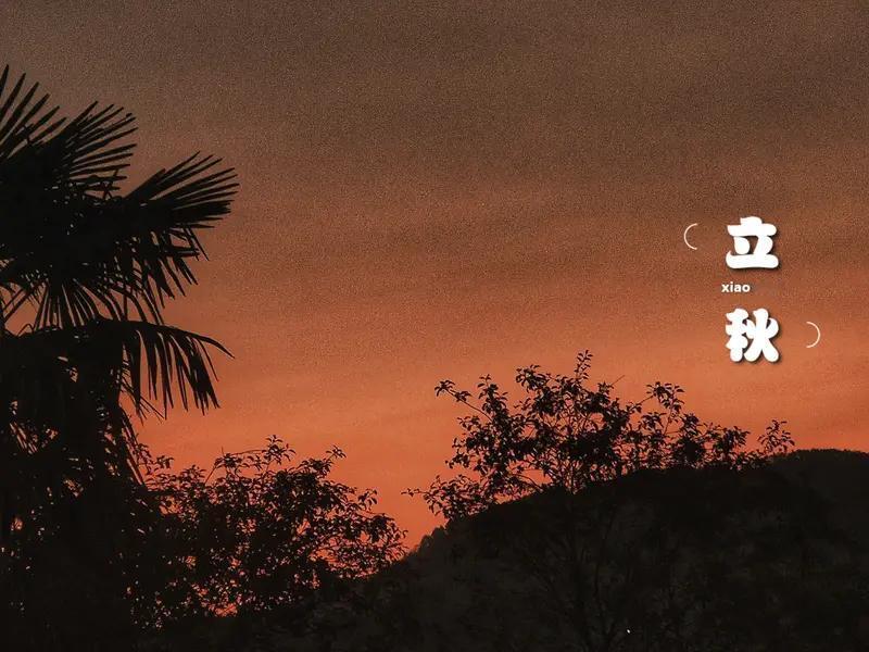 人生最好的答案是什么？有人说“吃茶去”，这并非回避敷衍，而是顶级智慧。生活中我们