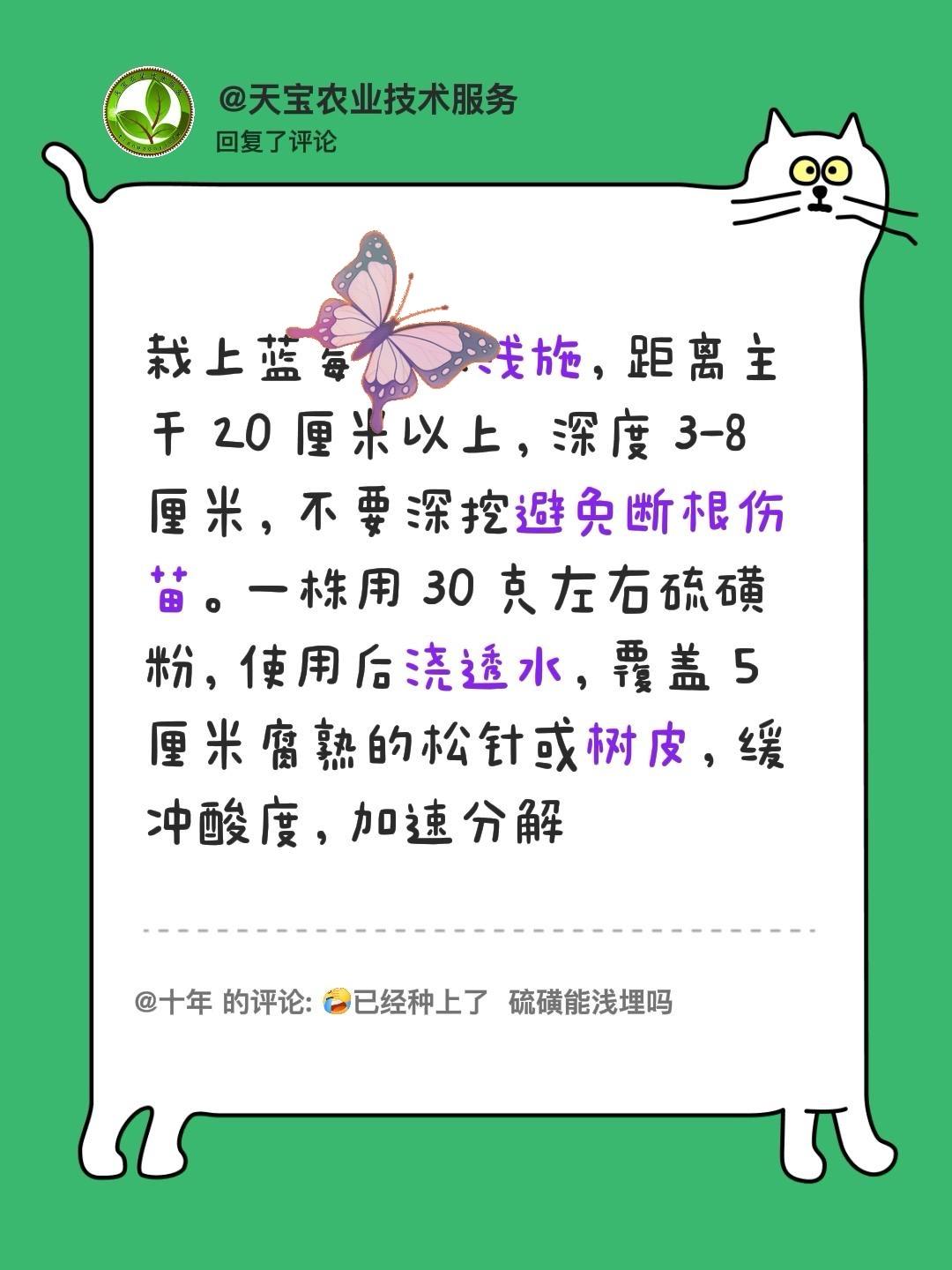 蓝莓栽上后还能施硫磺粉吗？我回复了@十年 的评论：
栽上蓝莓可以浅施，距离主干 