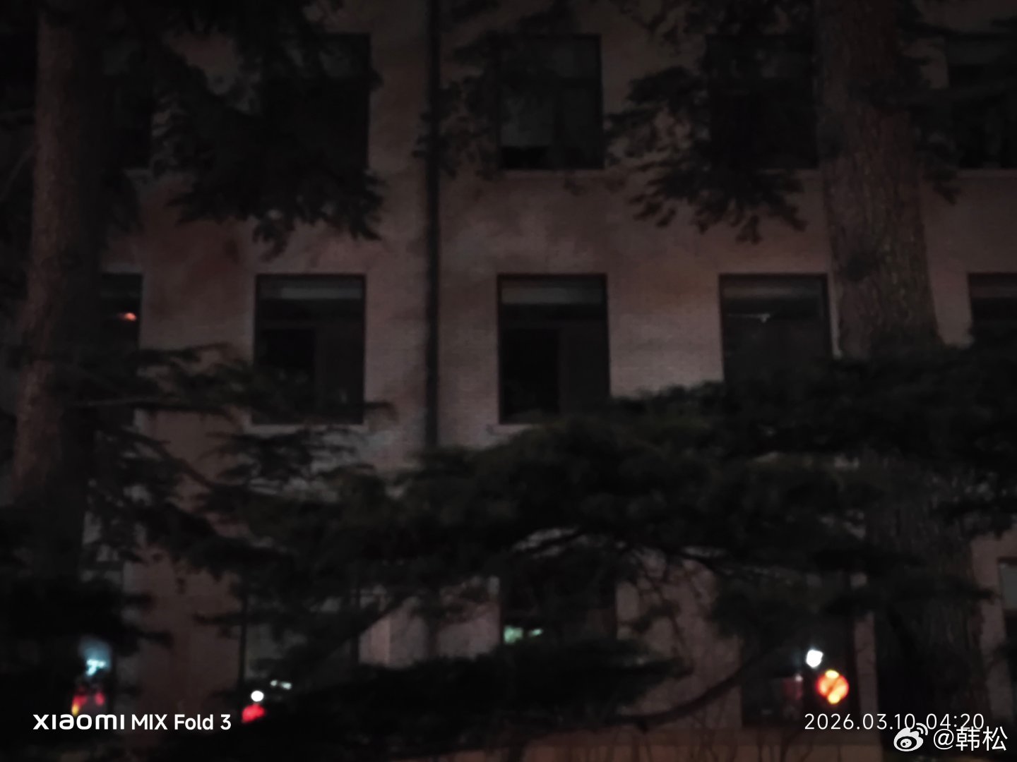 密林里的窗户中，有人在向我招手。 