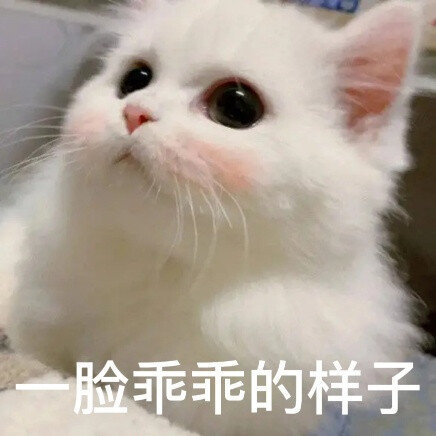 “想到你就脸红 见你不用腮红” 