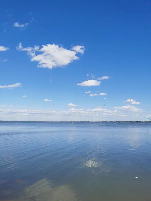 大庆不错，每年出去旅游十多天，回到大庆，还是感觉大庆好。天是蓝色的；
水是清澈的