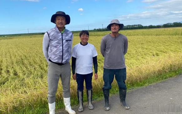 最近日本大米价格一路下行，有些县的超市行情，已经回到了五公斤3000日元之内。去