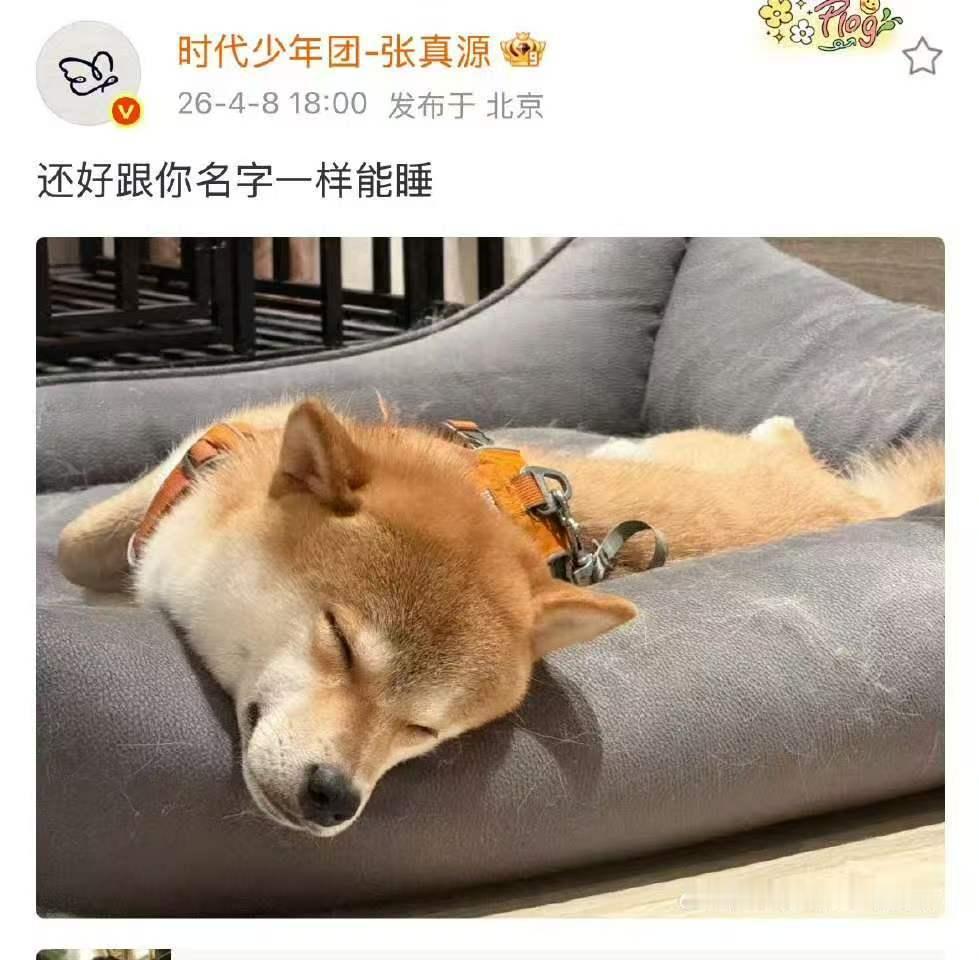 张真源呼安公开的三周年张真源呼安跟自己的名字一样能睡 今天是我们张真源呼安公开三