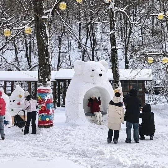 【越依赖越不敢独立，越不敢独立越依赖】
        生活中，依赖与不敢独立的