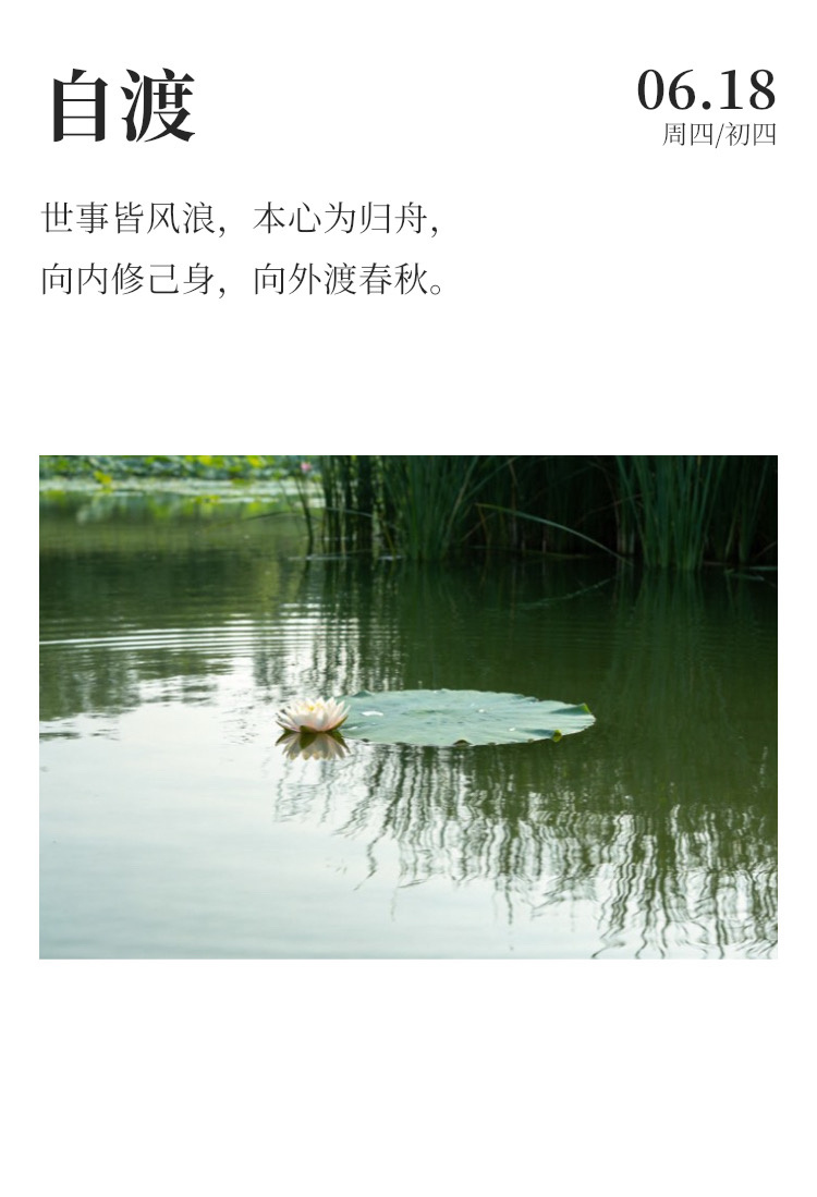 早安⛅每日早起打卡   运气不能持续一辈子，能持续一辈子的是你个人的能力。沉淀自