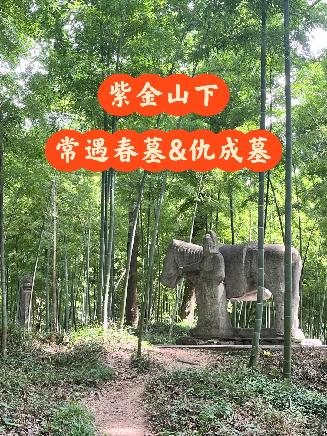 南京古迹 | 紫金山下，常遇春墓&仇成墓