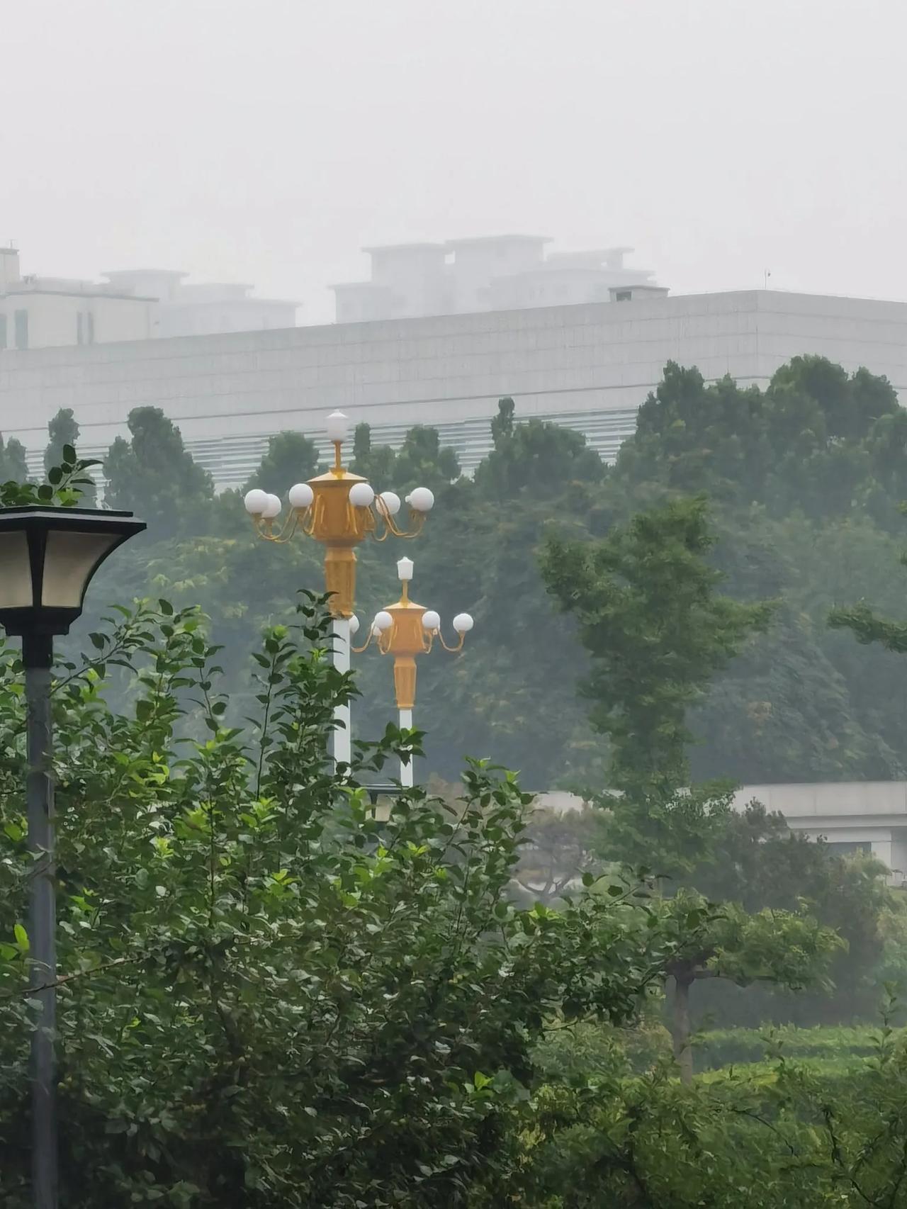 雨后美景