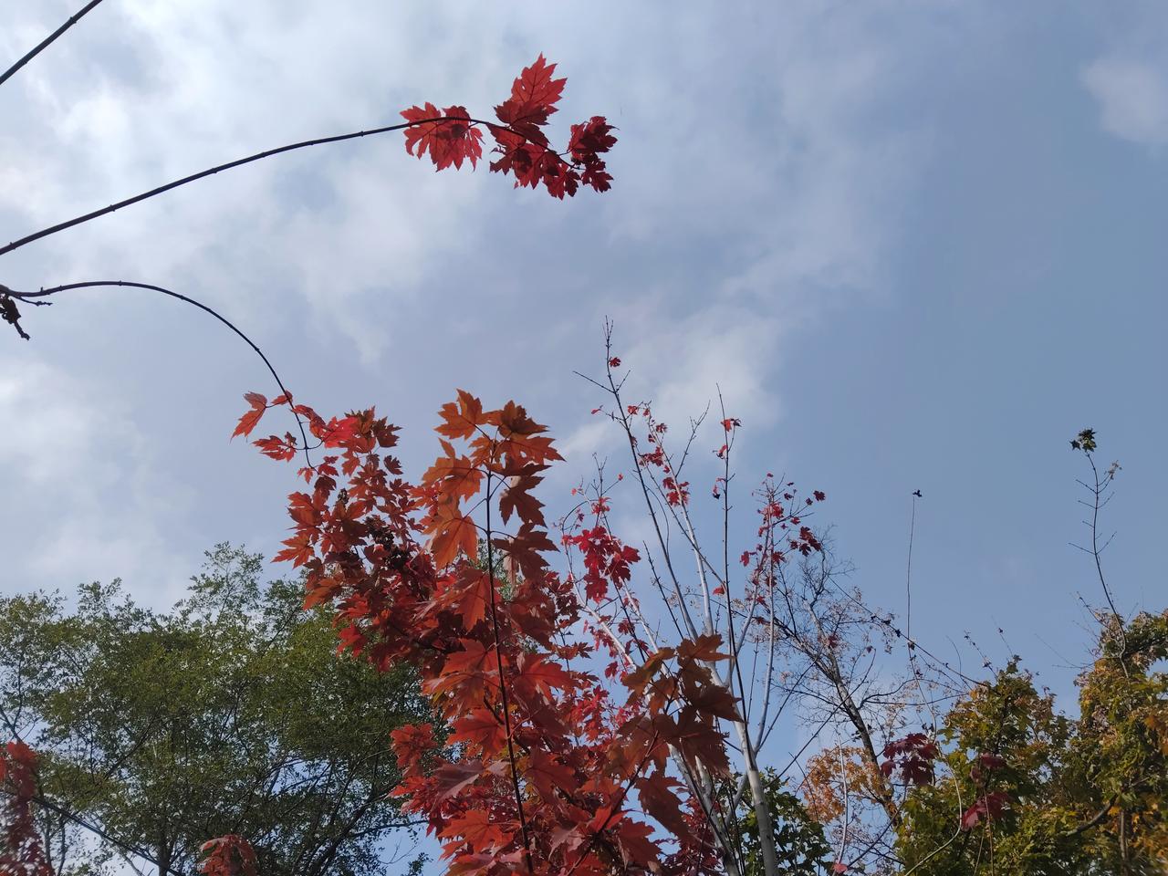 老师让学生当着全班师生的面用砖头砸手机引发争议！

 河南一中学老师让学生用砖头