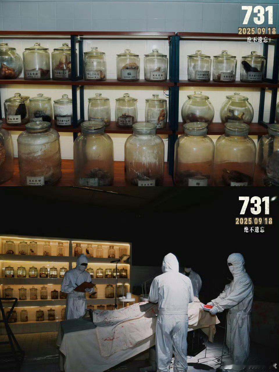 人体含水量是731把人烤干得来的数据  历史不会改变，更不应被美化！ ​​​