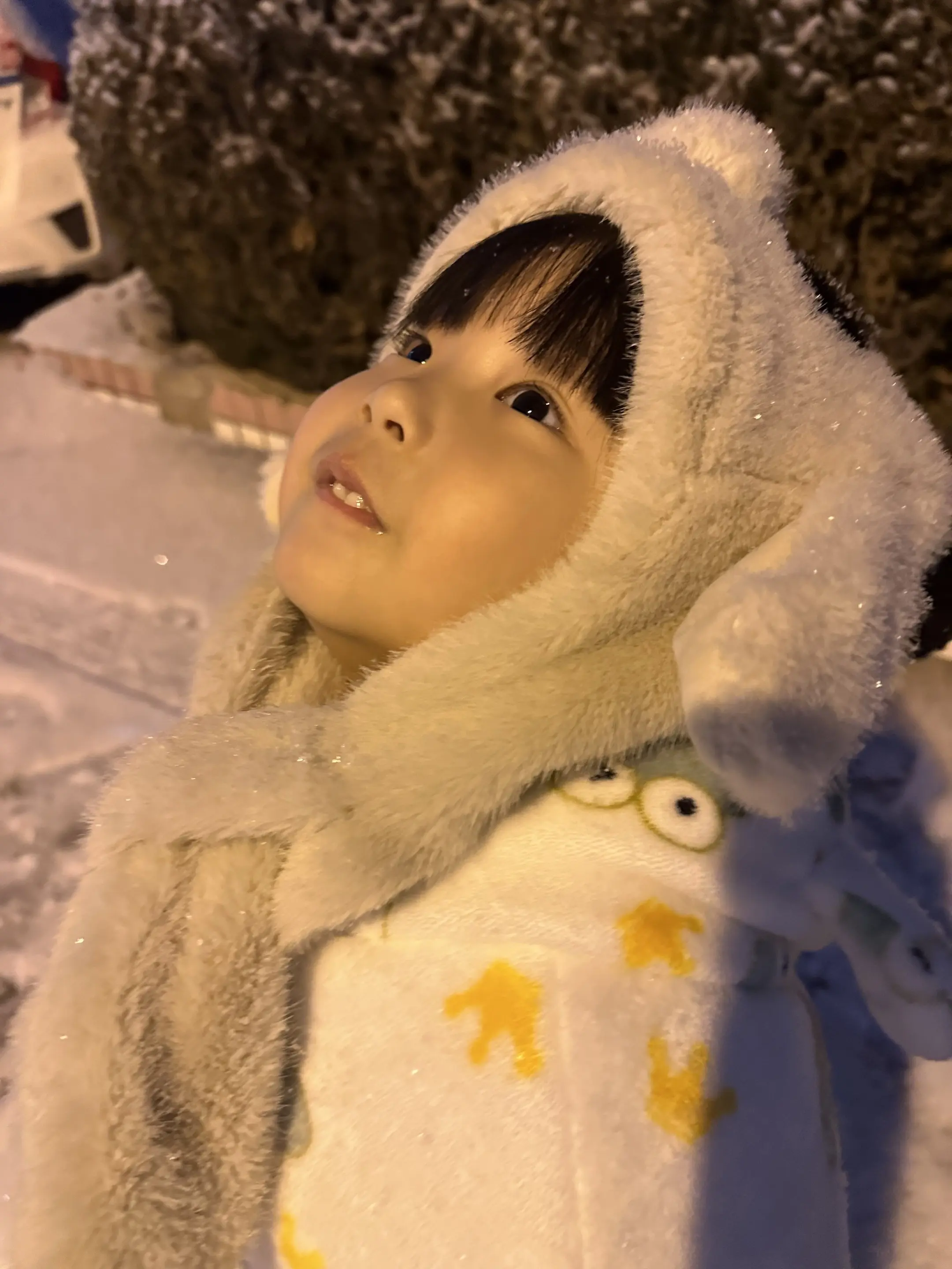 下雪啦❄️