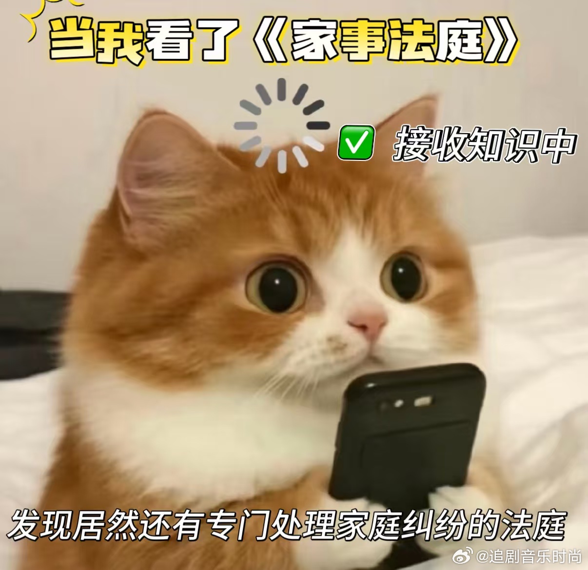 第一次在剧里知道家事法庭 400多个真实故事告诉我们：家事法庭里没有绝对的赢家，