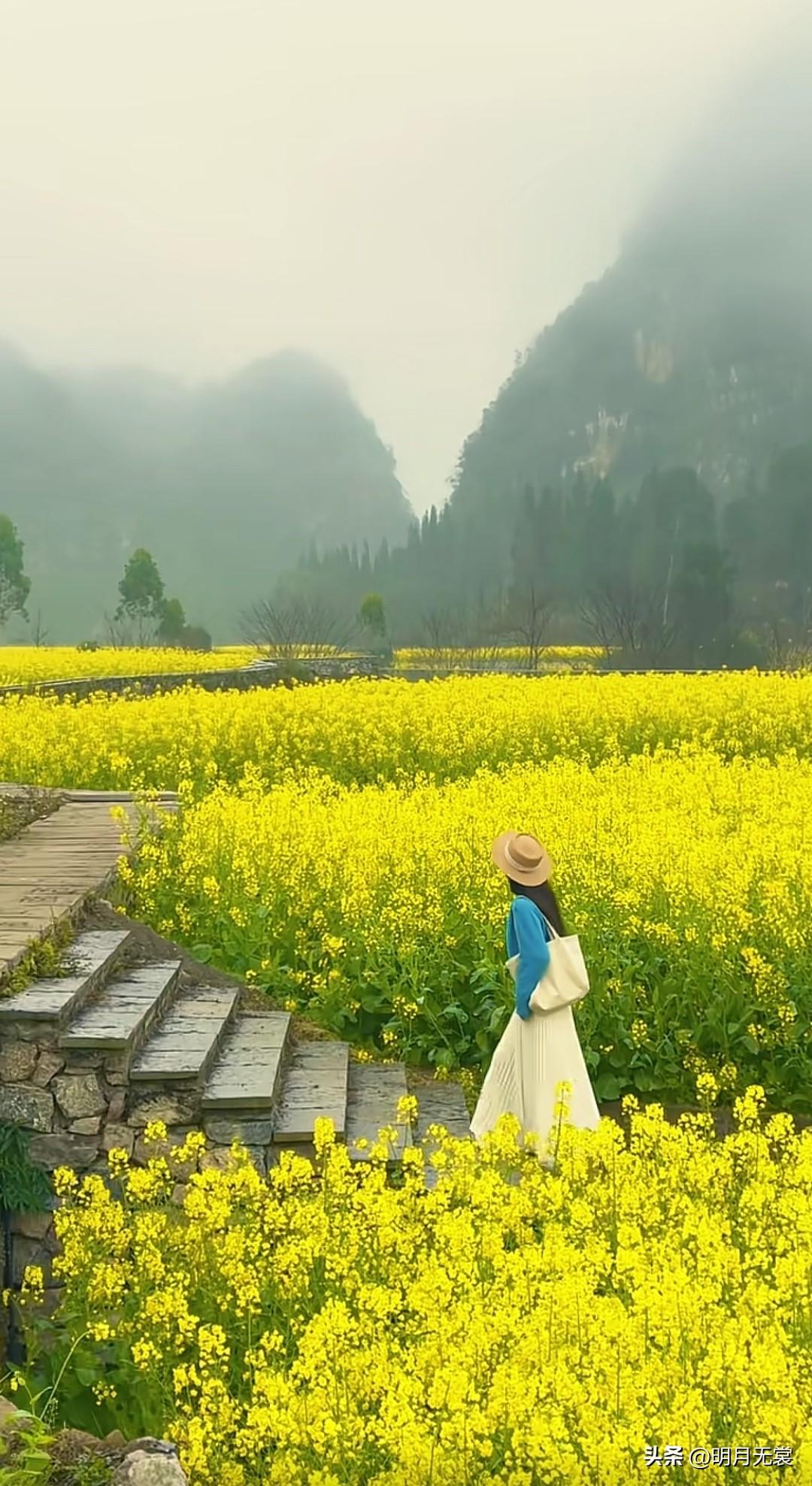 天南地北大拜年