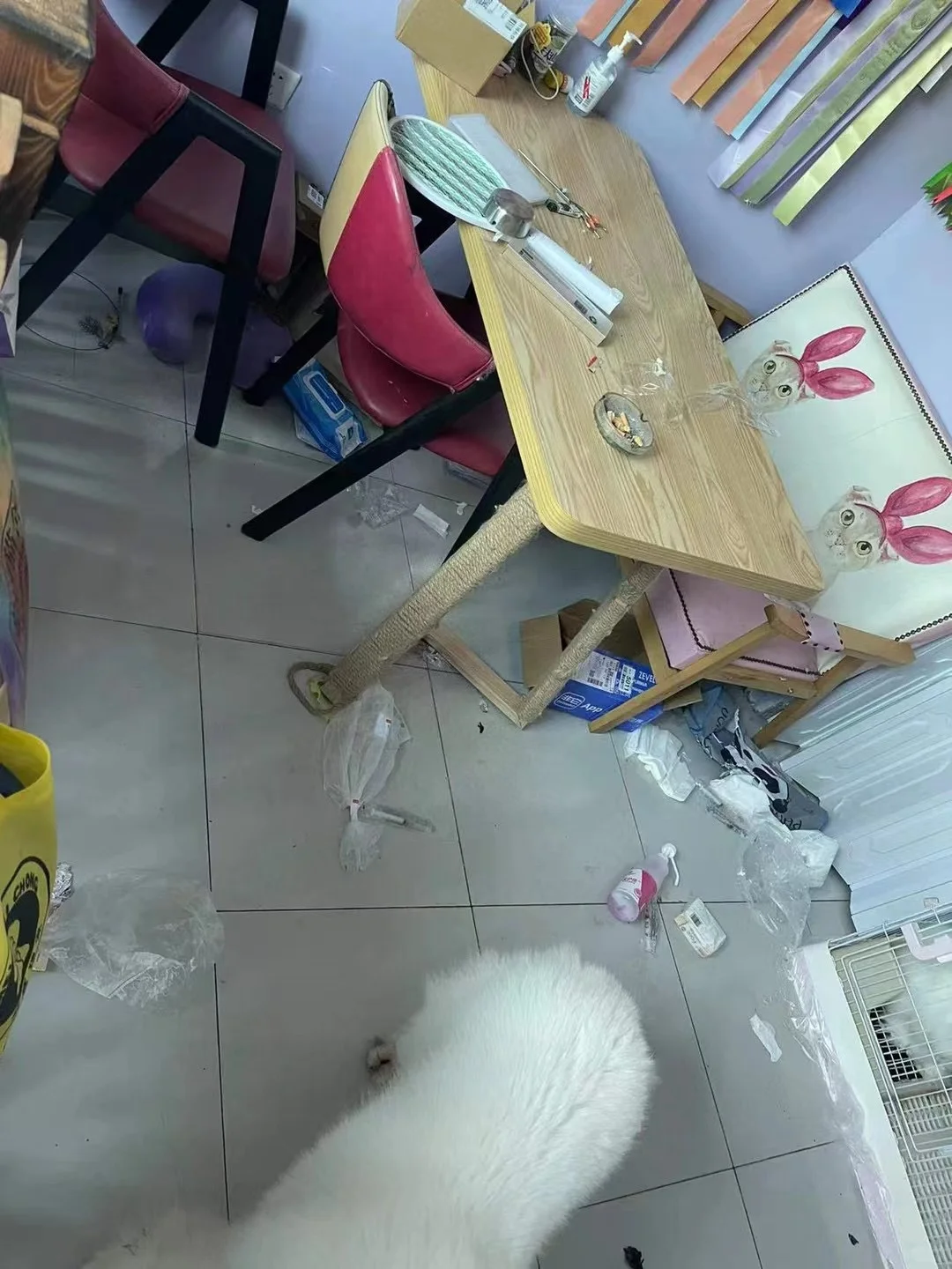 家人们我要先揍哪一个呢