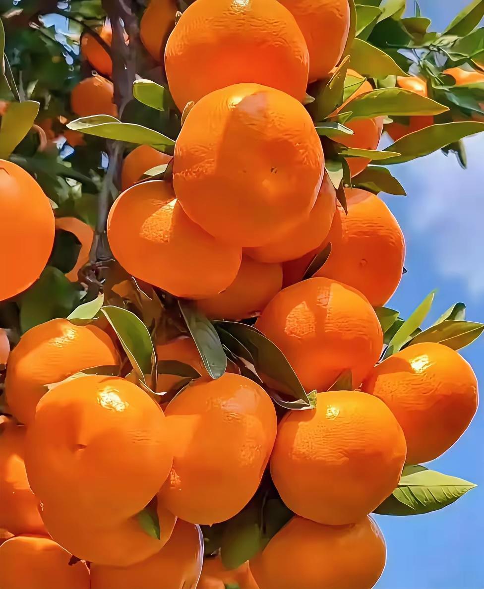 感恩这趟人生列车，
让我们相伴前行，彼此守望；
愿有缘的我们，
既能抬头望前路漫