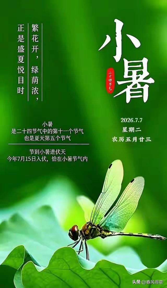 小暑至，蝉声响，夏令正悠长；温风起，点荷妆，梅汤引新凉。小暑，是夏天的第五个节气