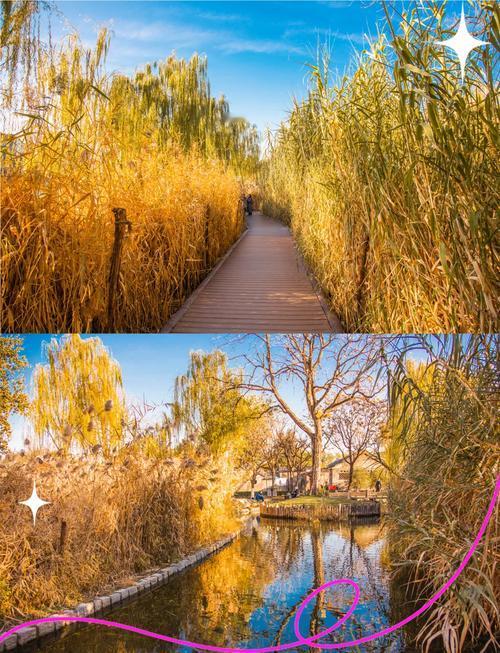 活到这岁数，总算摸清了人情世故里的一个门道：做人别一上来就掏心掏肺讨好别人，先让