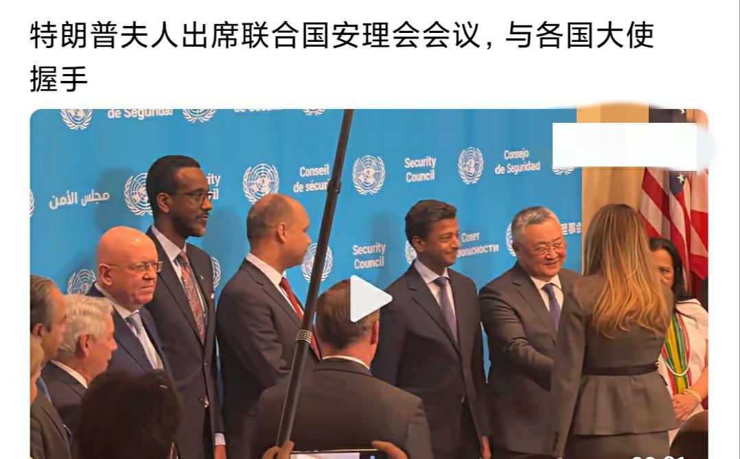 联合国这些大使们，见了特朗普的老婆却满脸笑容，为啥不痛骂特朗普老婆越俎代庖，把美