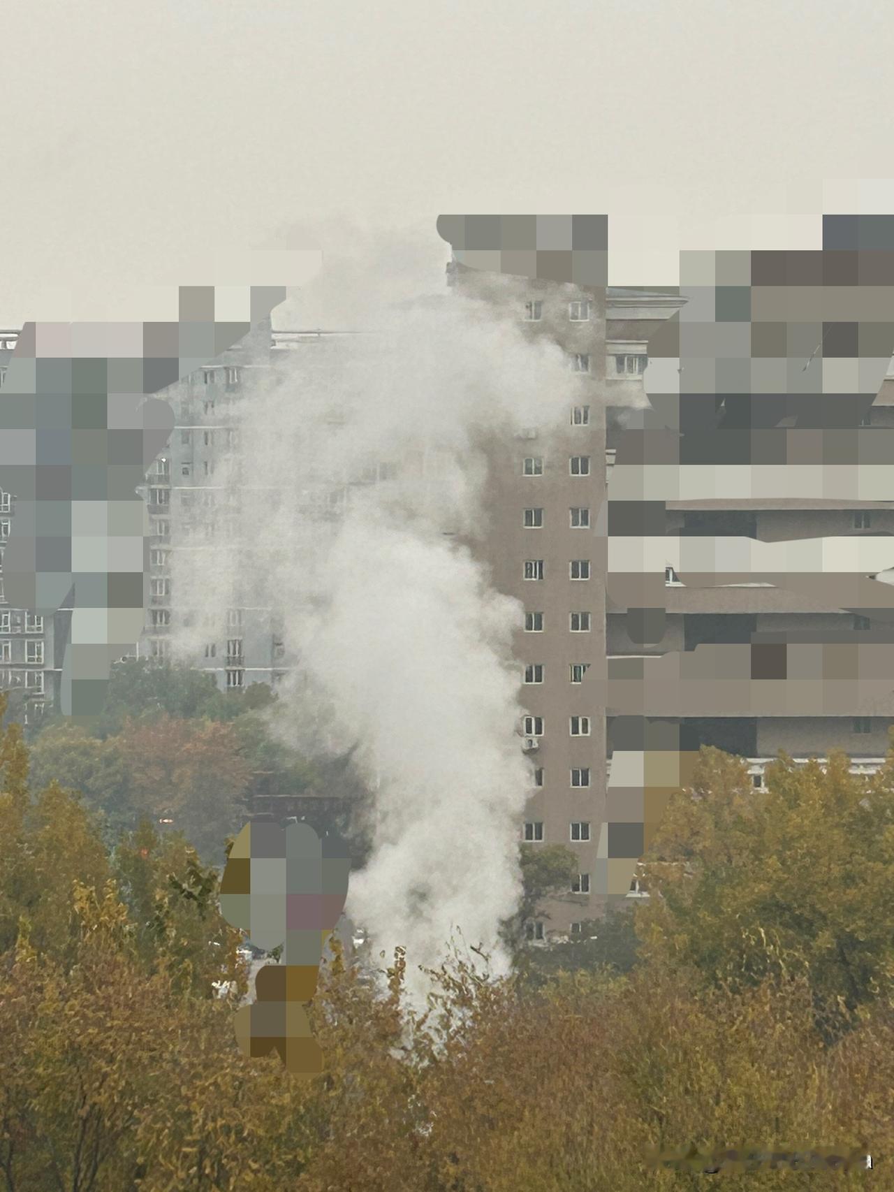 我家今天来暖气了

北京今天雾霾+阴天，躺在被窝里看着阴阴的天气，感到很冷，真不