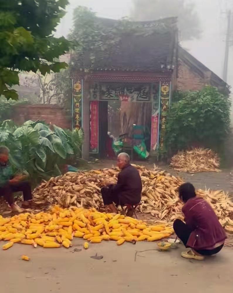 北方的朋友们，还记得小时候这样的经历吗？那时候很累，但是很充实吧？

早上起来，