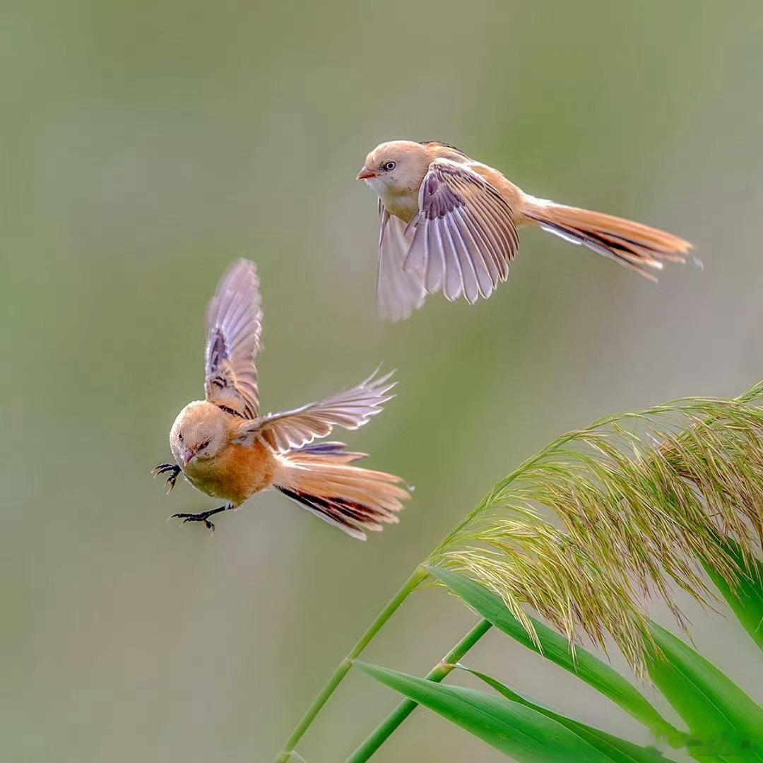 .'早安早安,新的一天治愈不开心人生感悟人生微语早安心语 情感语录每天说早安心情