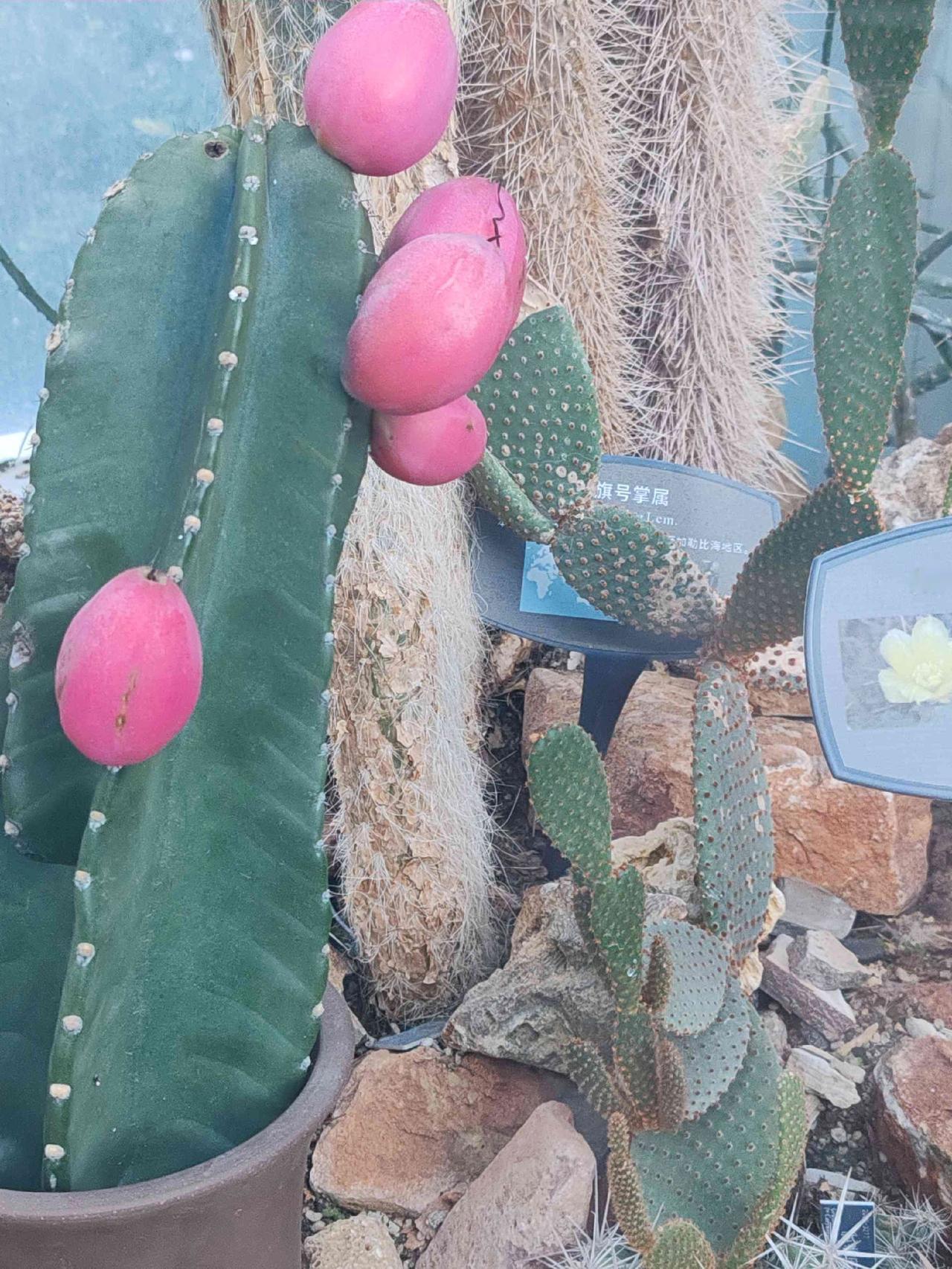 自然美的升华是人文之美人性至善 家风永续 古典精神