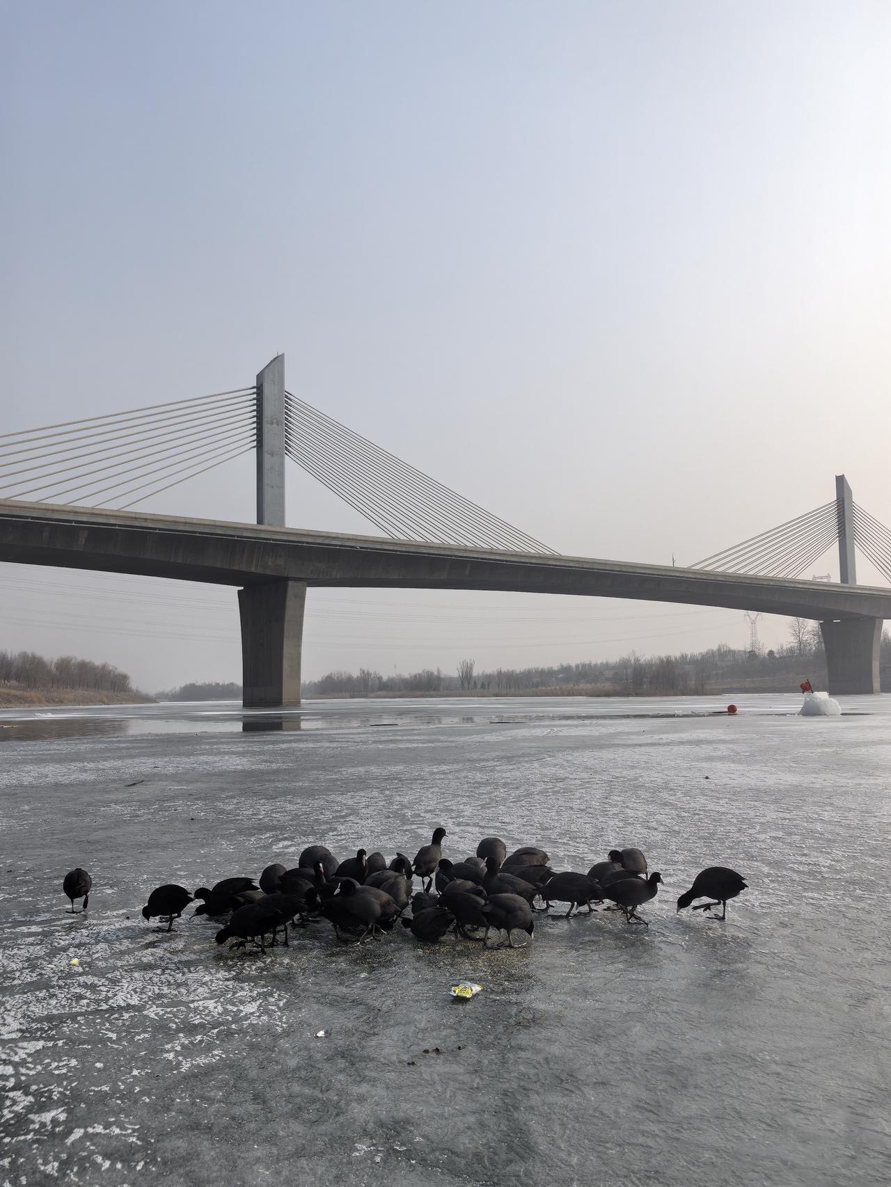 分享一张手机里的湖照片