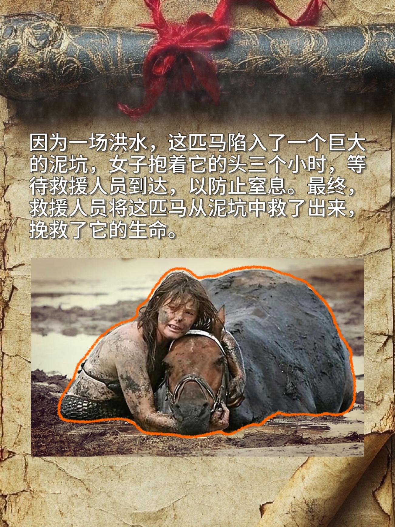 因为一场洪水，这匹马陷入了一个巨大的泥坑，女子抱着它的头三个小时，等待...