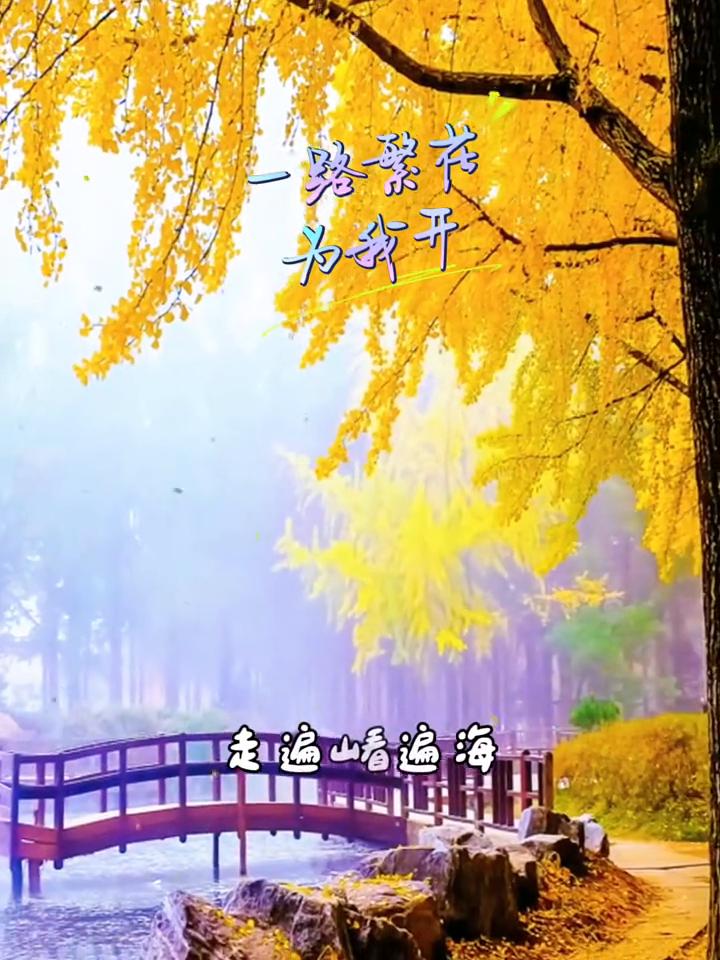 路紫花为我开。
走遍山，看遍海，一路繁花为我开。跟着心情的节拍，踏过霜，越过雾，